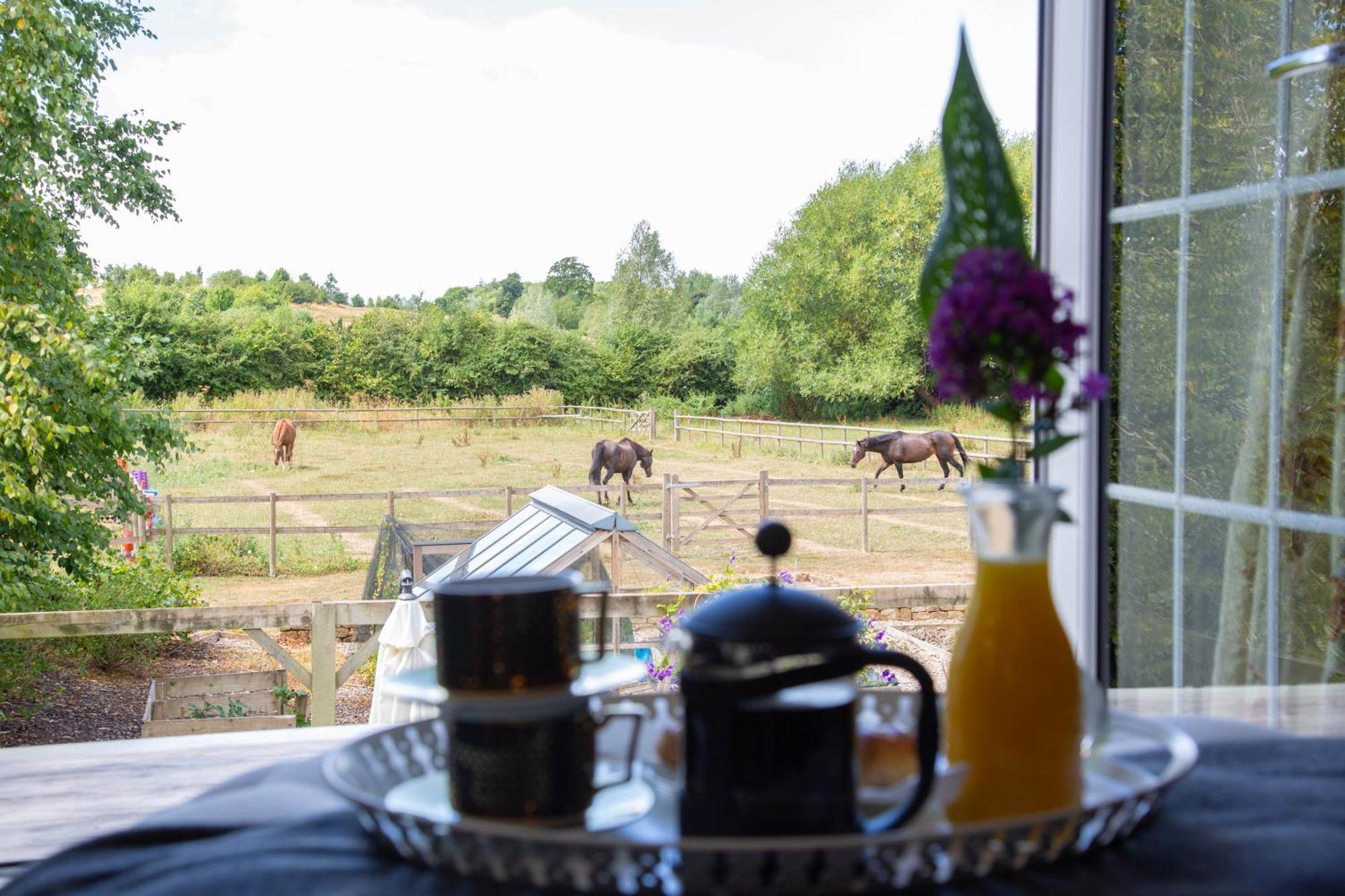 Cherry Orchard Farm South Wraxall Zimmer foto