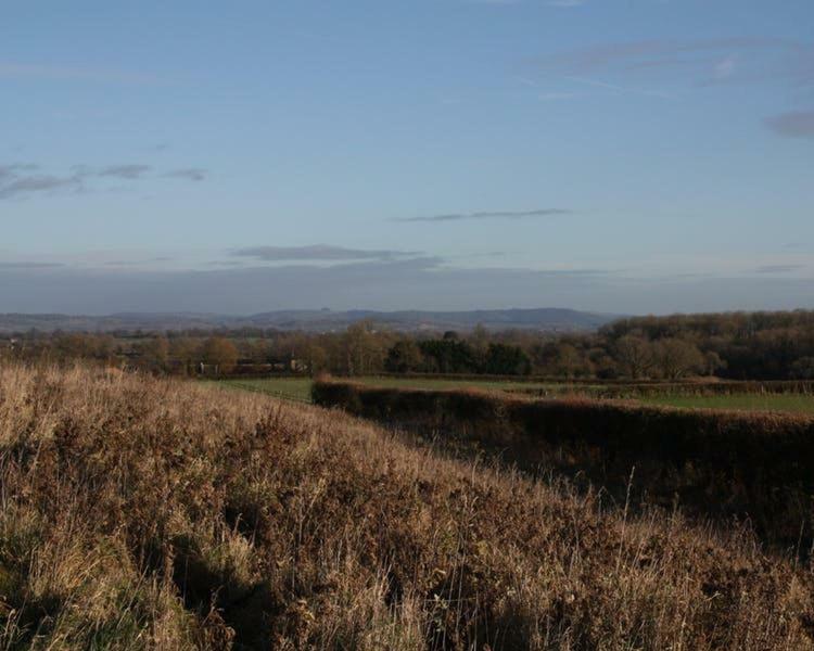 Cherry Orchard Farm South Wraxall Exterior foto